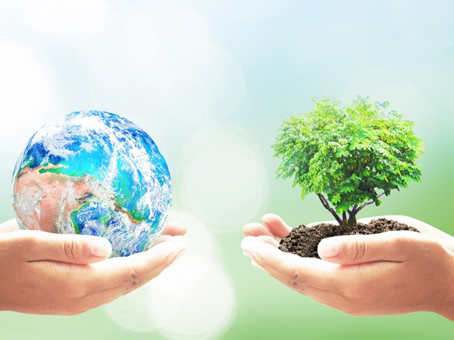 Ürün Fotoğrafları